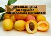 В Молдове постепенно дешевеют абрикосы Оптовые цены на абрикос еженедельно снижаются