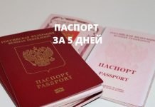 Россиянам напомнили об изменении сроков оформления паспорта паспорт за 5 дней