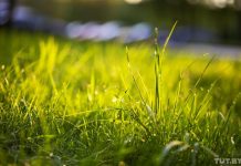 Погода 3 августа в Приднестровье погода