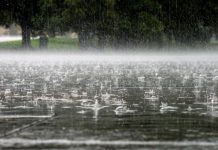 Погода 5 июля в Приднестровье Снова ливни и грозы