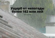 С начала года ущерб нанесенный сельскохозяйственным культурам составляет более 162 миллионов леев Ущерб от непогоды