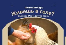 Ты живешь в селе? Участвуй в конкурсе фотографий, выиграй iPad Живешь в селе. Фотоконкурс