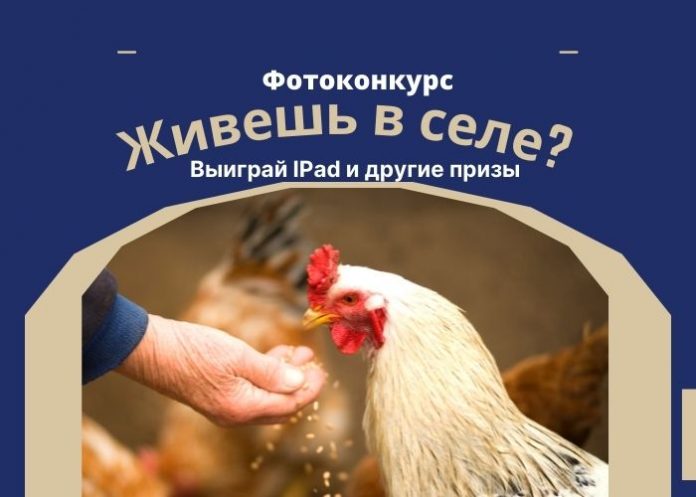 Живешь в селе. Фотоконкурс