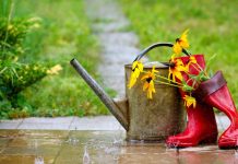 Погода 29 мая 2023 года в Приднестровье Погода, осадки