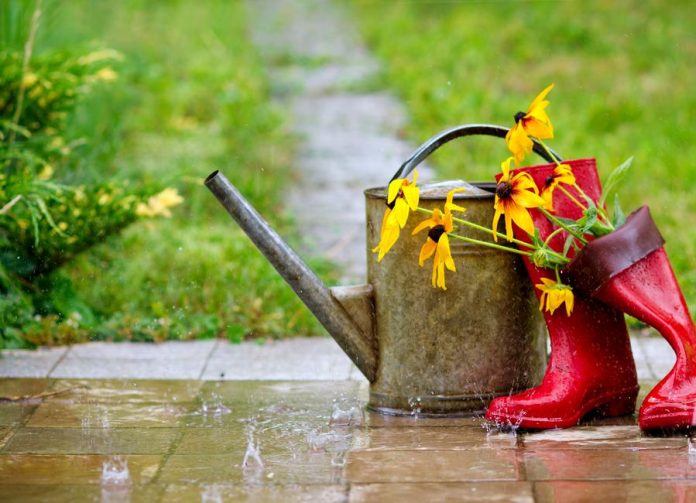 Погода, осадки