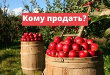 Аграрии должны «усвоить урок» виноделов усвоить урок молдавских производителей вина