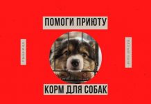Приюту для кошек и собак в Рыбнице требуется помощь Волонтерскому пункту нужна помощь