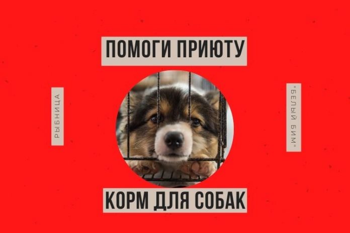 Волонтерскому пункту нужна помощь Волонтерскому пункту нужна помощь