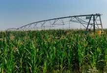 Пять предприятий получат льготные кредиты из Фонда госрезерва Льготные кредиты для предприятий