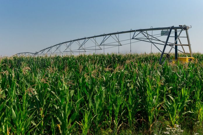 Льготные кредиты для предприятий