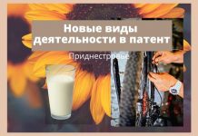 В Приднестровье добавили новые виды деятельности в патент Новые виды деятельности в патент