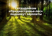 С 2022 года сотрудникам «Приднестровье-лес» поднимут зарплаты на 30% Сотрудникам «Приднестровье-лес» поднимут зарплаты