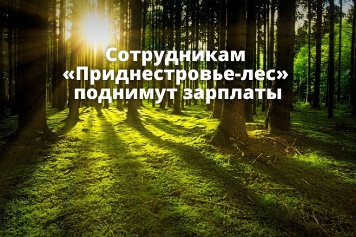 Сотрудникам «Приднестровье-лес» поднимут зарплаты