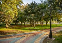 Погода 7 октября в Приднестровье