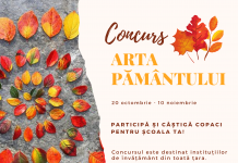 Конкурс. Саженцы в обмен на произведения искусства, созданные из натуральных материалов Конкурс. «Искусство Земли»