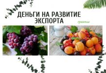 США выделяет гранты для садоводческого сектора Молдовы гранты на развитие экспорта