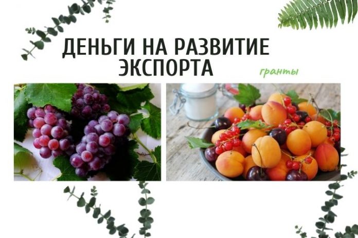 гранты на развитие экспорта