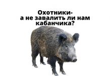 С 30 октября по 26 декабря в Приднестровье открыта охота на кабана Охотники-кабан