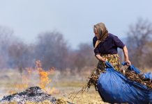 Экологи напомнили о штрафах за сжигание мусора
