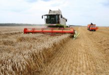 Показатели агропромышленного сектора Рыбницкого района за 2023 год агросектор, урожая, правительство Розенберг Александр председатель