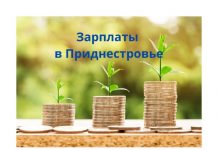 Средние зарплаты в Приднестровье в первом квартале 2023 года средние зарплаты, в Приднестровье