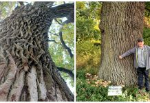 Деревня первого астронома в стране