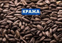 Больше тонны семян подсолнечника украли со склада в селе Михайловка Рыбницкого района Кража