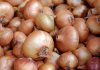 В Молдове растут оптовые цены на репчатый лук лук репчатый