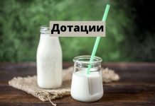 Дотации за молоко: аграриям выплатили более миллиона рублей Дотации на молоко