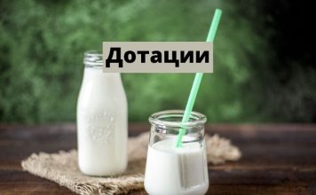 Дотации за молоко: аграриям выплатили более миллиона рублей Дотации на молоко