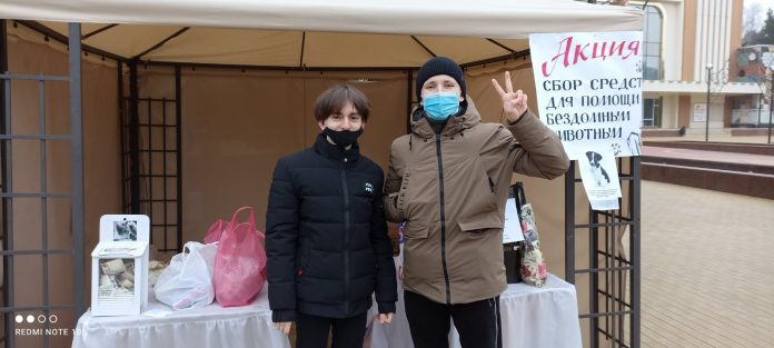 Благотворительная акция в поддержку животным