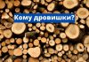 В Приднестровье для социально незащищенных категорий граждан организуют заготовку дров на зиму Дрова