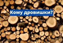 В Приднестровье для социально незащищенных категорий граждан организуют заготовку дров на зиму Дрова