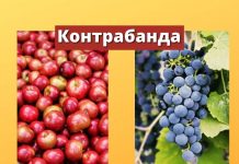 В Приднестровье пресечены незаконные попытки ввоза яблок и винограда из Молдовы Контрабанда