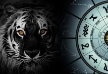 Восточный гороскоп на 2022 год: укрощаем Чёрного водяного тигра