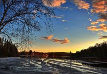 Погода 12 января в Приднестровье