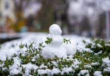 Порадует ли природа приднестровцев снегом погода в Приднестровье, снег