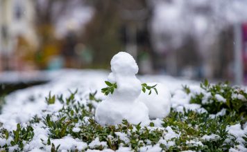 Погода 11 января в Приднестровье погода в Приднестровье, снег