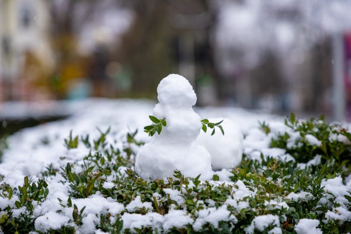 погода в Приднестровье погода в Приднестровье, снег