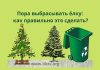 Почему новогоднюю ёлку нужно убирать до Крещения: традиции, приметы, суеверия