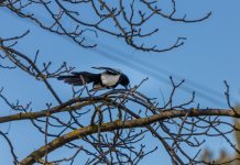 Погода 13 февраля в Приднестровье Погодка