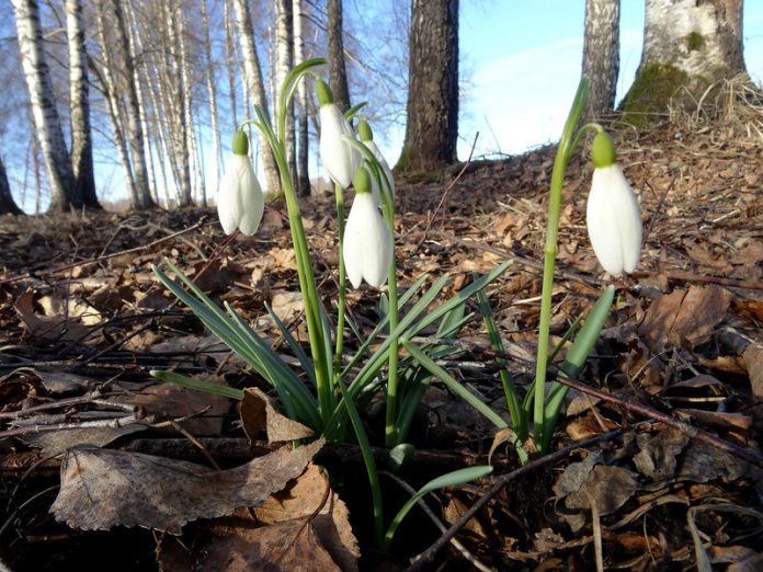 погода теплая погода теплая