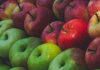 Яблок в Молдове будет выше прошлогоднего, но ниже максимальных показателей за пятилетие яблоки, урожая, Молдове прошлогоднего, производители