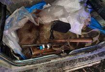 За незаконную охоту на кабана браконьеры могут отправиться в тюрьму Незаконная охота. Фото прессцентр МВД ПМР