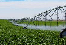 Площадь орошаемых земель в Приднестровье планируется увеличить до 30 тысяч га Площадь орошаемых земель увеличивается