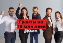 10 миллионов леев выделяют в Молдове в виде гранта по программе цифровой трансформации малого и среднего бизнеса Гранты на 10 млн леев