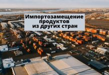 Молдова ищет импортозамещение продуктов из других стран Импортозамещение продуктов из других стран
