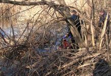 Жуткая находка: в зарослях у дома рыбничанин нашёл погибшую тёщу Фото: МВД ПМР