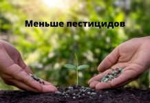 Молдавские садоводы снизят использование пестицидов в садоводческом хозяйстве удобрения