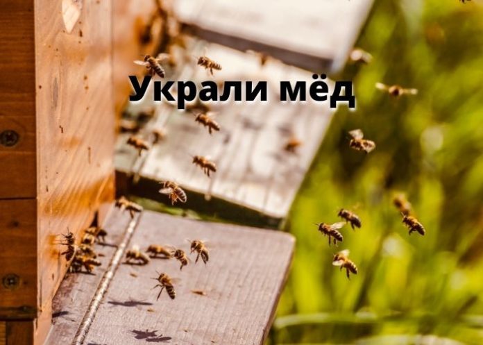Украли мёд